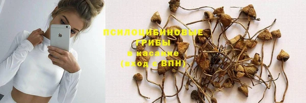 хмурый Медногорск