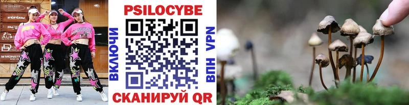 Галлюциногенные грибы прущие грибы  Купить закладки  Сокол 